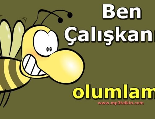 BEN ÇALIŞKANIM (Olumlama Müzikleri)